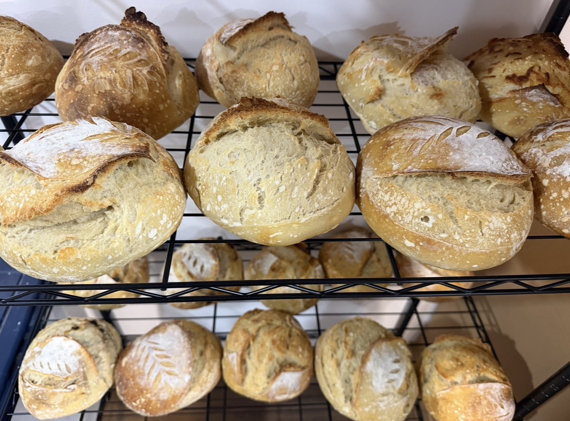 Multiple sourdough loaves cooling on racks